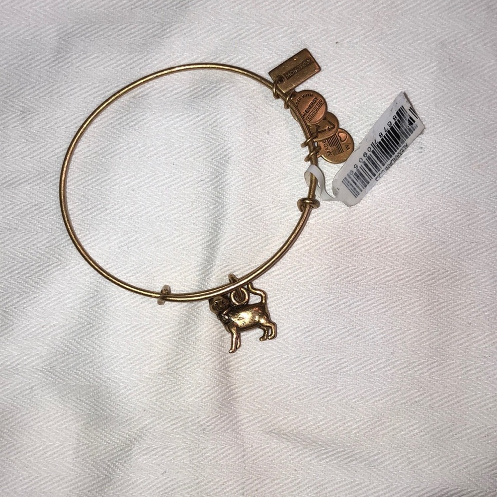 Rare Alex and Ani Monopoly Cat Bracelet